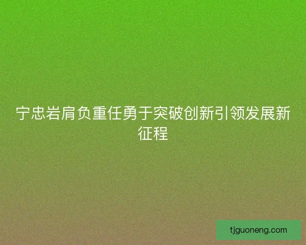 宁忠岩肩负重任勇于突破创新引领发展新征程